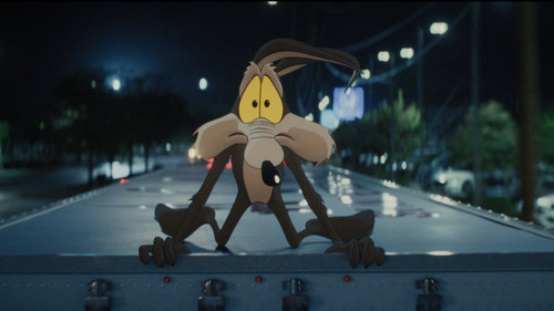 Coyote vs. Acme Bild 7