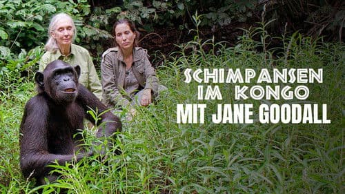 Schimpansen im Kongo mit Jane Goodall Bild 1