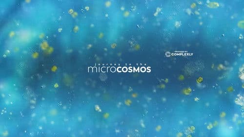 Journey to the Microcosmos Bild 5