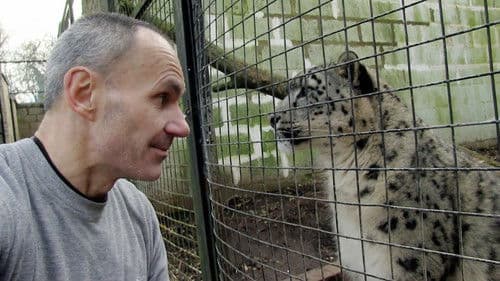 Snow Leopards of Leafy London Bild 2