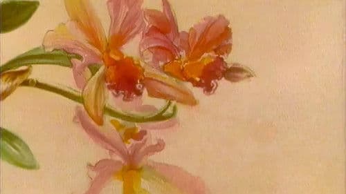 The Orchid House Bild 1