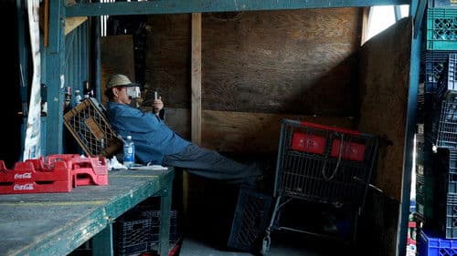 El cuarto reino Bild 2