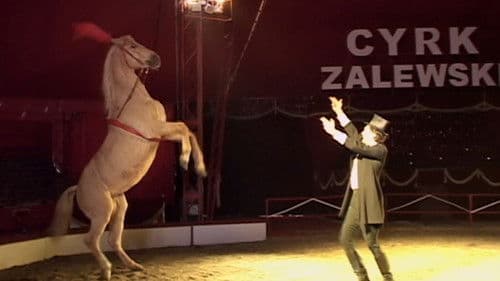 More Things That Happened Bild 5