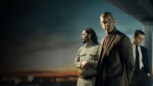 The Little Things Bild 5