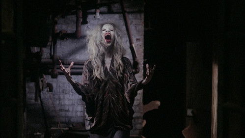 Helden der Nacht Bild 7