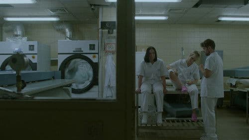 Midnight Skin Bild 1