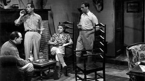 Feitiço do Império Bild 1