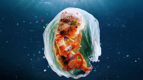 Plastic People Bild 2