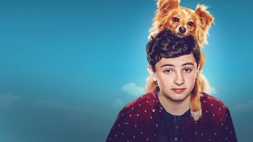 The Healing Powers of Dude Bild 1