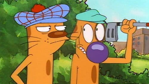 CatDog Bild 4