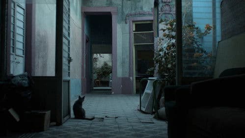 Los años azules Bild 1