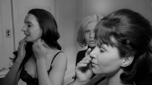 Red Roses of Passion Bild 5