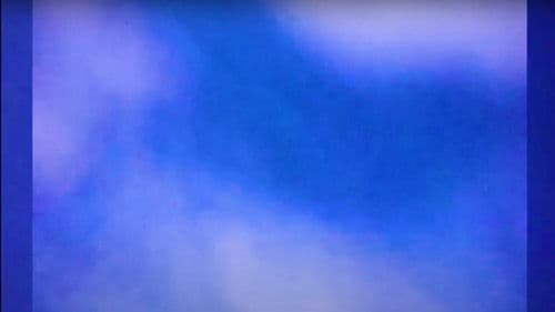 Wind in the Trees Bild 2