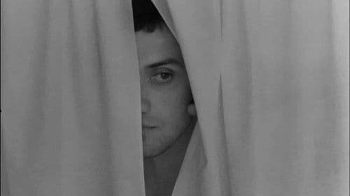 Совість Bild 3