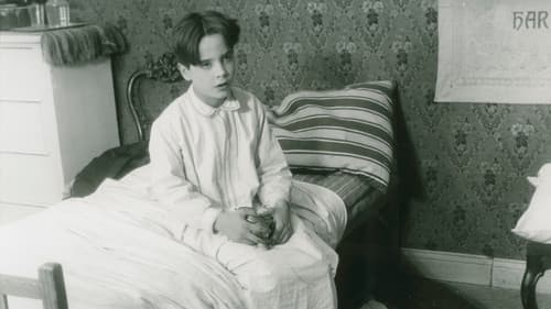 Die Mälarpiraten Bild 1