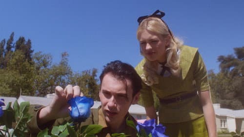 The Blue Rose Bild 2