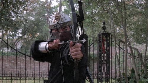 Die 1000 Augen der Ninja Bild 5