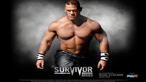 WWE Survivor Series 2008 Bild 3