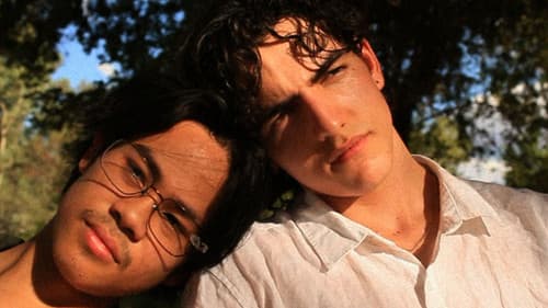 Lost in Summer Bild 1