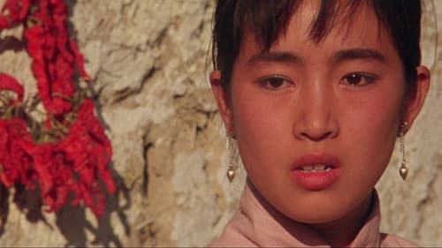 Rotes Kornfeld Bild 8