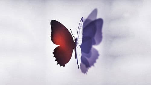 Complete Unknown Bild 4