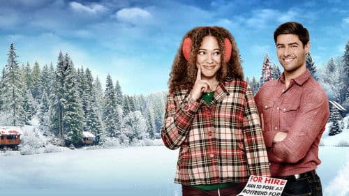 Holiday for Hire Bild 1