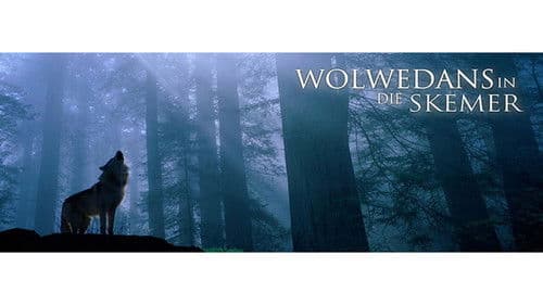 Wolwedans In Die Skemer Bild 2