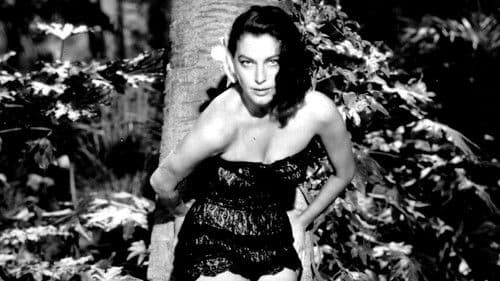 Die kleine Hütte Bild 2