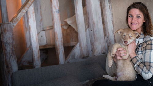 Aidez-moi, ce chien me rend dingue ! Bild 1