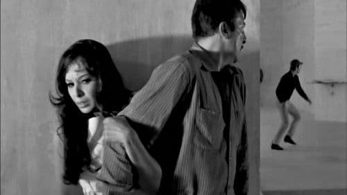 الأشرار Bild 3