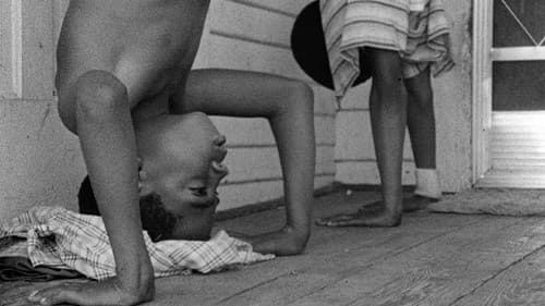 Schafe töten Bild 7