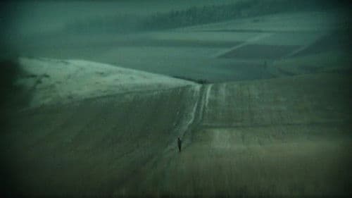 Debris Documentar Bild 2