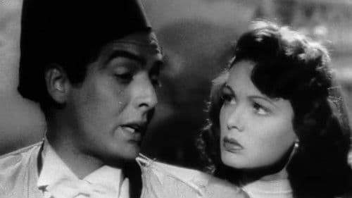 Abrechnung in Shanghai Bild 2