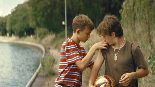 The Male Gaze: Breaking Dawn Bild 1