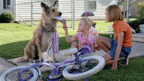 Winn-Dixie - Mein zotteliger Freund Bild 8