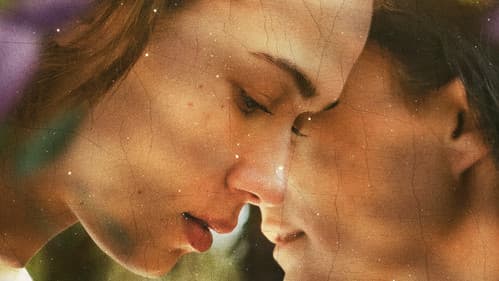 Into the Thicket Bild 1