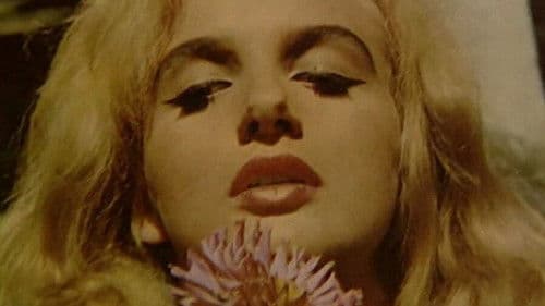 Didn't Do It For Love Bild 1