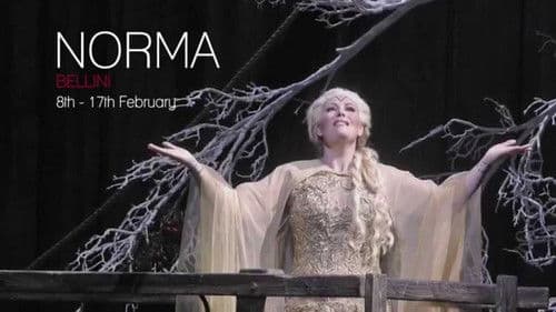 Bellini: Norma Bild 1