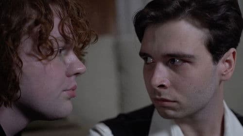 Carassius Auratus Bild 1