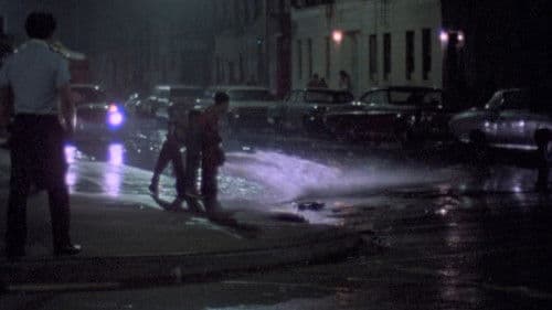 News from Home Bild 8