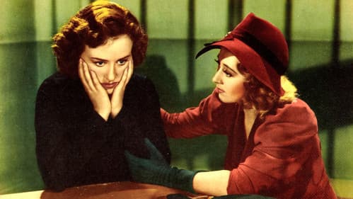 Back in Circulation Bild 1