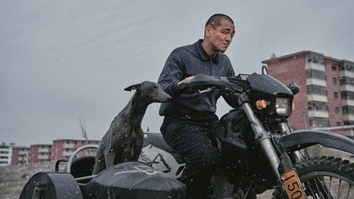 Black Dog - Weggefährten Bild 2