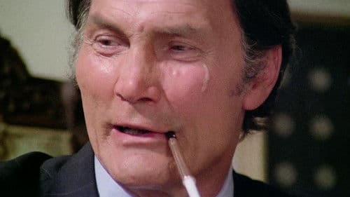 Zwei Supertypen räumen auf Bild 6