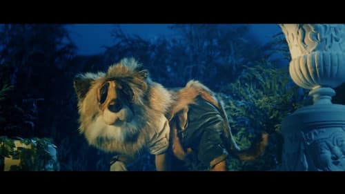 Sen noci svatojánské Bild 6