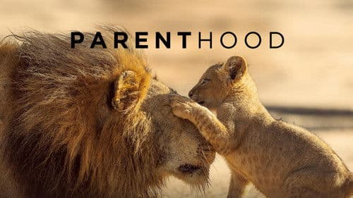 Parenthood Bild 2