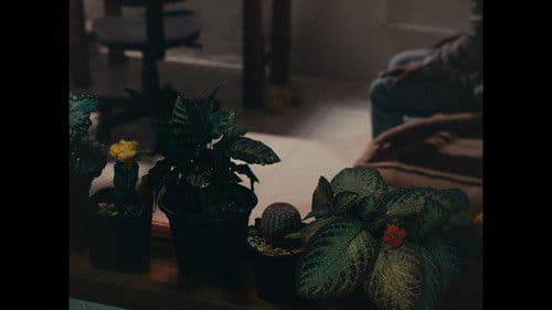 Superficie o Perder el Tiempo en los Espacios Más Relucientes Bild 1