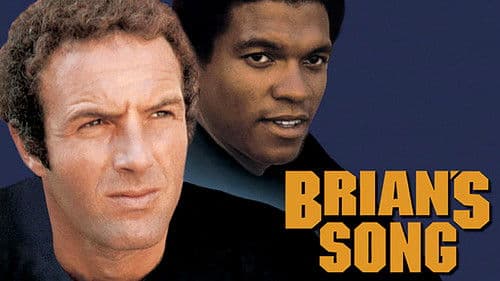 Freunde bis in den Tod Bild 3