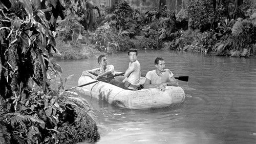Der Flug zur Hölle Bild 4