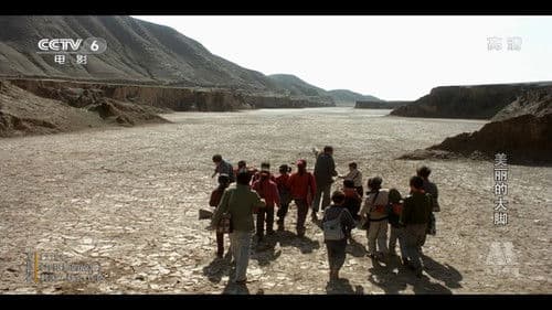 美丽的大脚 Bild 2