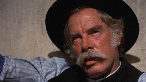 Vier Vögel am Galgen Bild 8